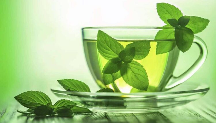 أنواع النعناع وفوائده وأضراره